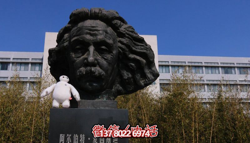 傳承名人風(fēng)采，愛因斯坦頭像銅雕